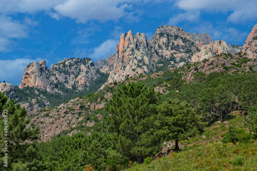 In the south of Corsica, the Aiguilles de Bavella tower into the sky. Pine trees in Bavella mountains, Corsica island, France