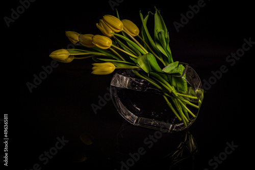 yellow tulips with black background
