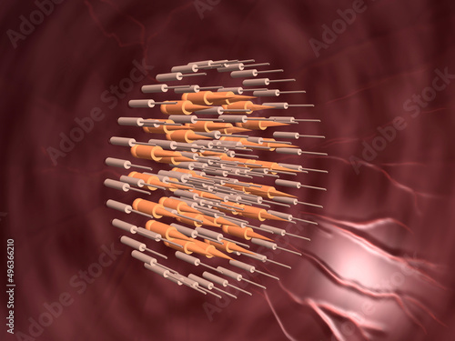 Receptor Cells in the Retina photo