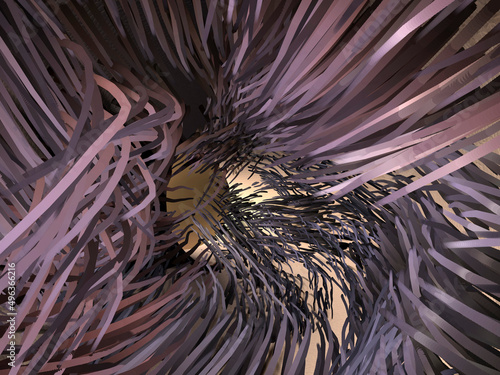 Close-up of the inner parts of the human ear