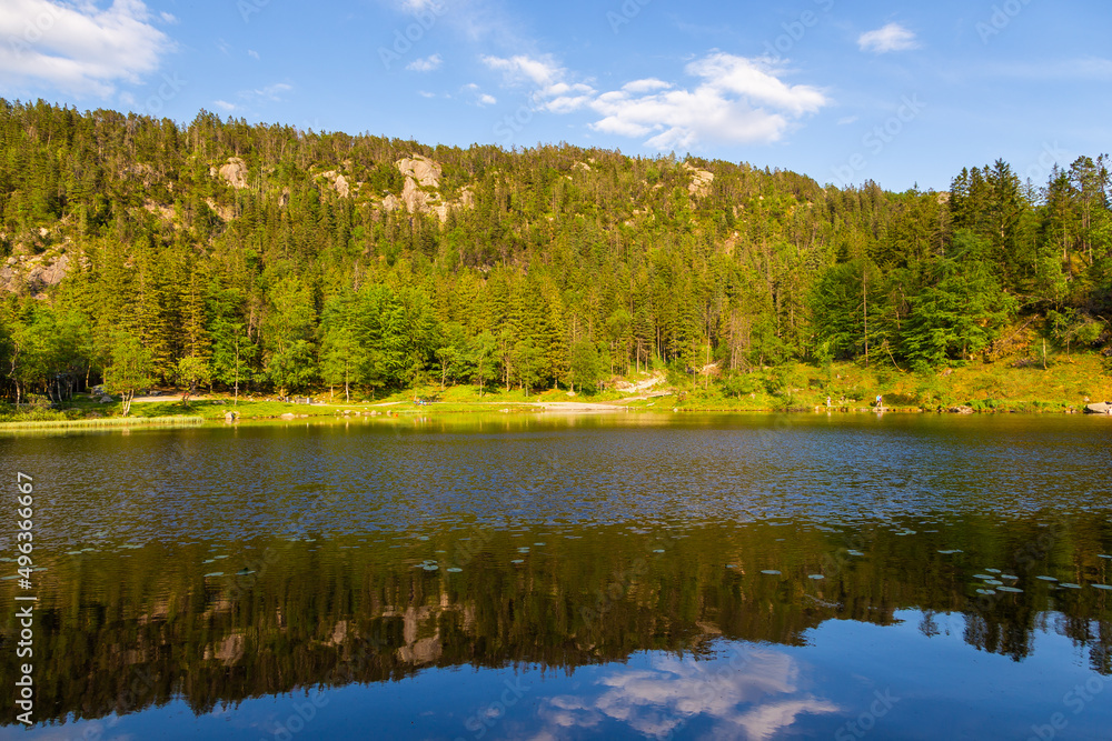 View across Skomakerdiket lake, Bergen, Hordaland, Norway, Scandinavia