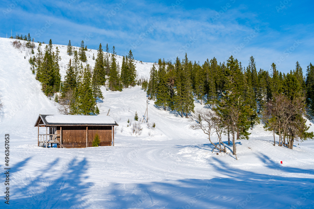 Winter landscape in snow covered Bymarka nature reserve in Trondheim, Norway