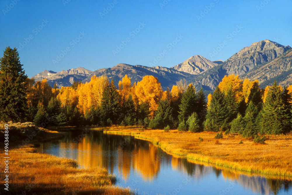 Reflection of trees in the water of a river, Snake River, Grand Teton National Park, Wyoming, USA Reflection of trees in the water of a river, Snake River, Grand Teton National Park, Wyoming, USA