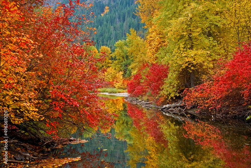 Reflection of trees in water, Nason Creek, Stevens Pass, Washington, USA photo