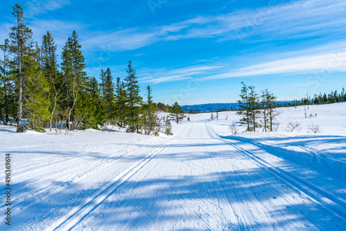 Winter landscape in snow covered Bymarka nature reserve in Trondheim, Norway photo