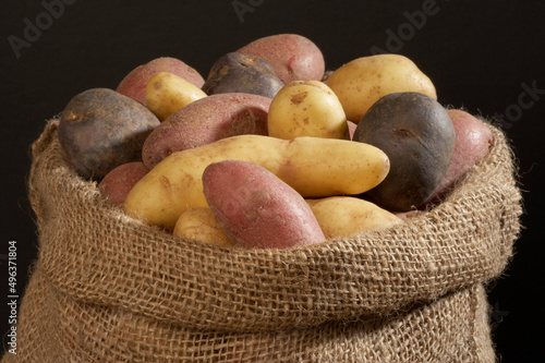 Close-up of raw potatoes in a sack