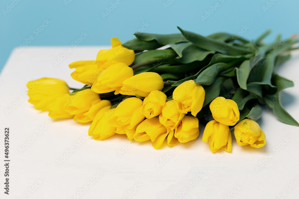 Colorful yellow tulip flowers on a blue background. With space to copy. Women's holiday. Mothers' Day Colorful yellow tulip flowers on a blue background. With space to copy. Women's holiday. Mothers' Day