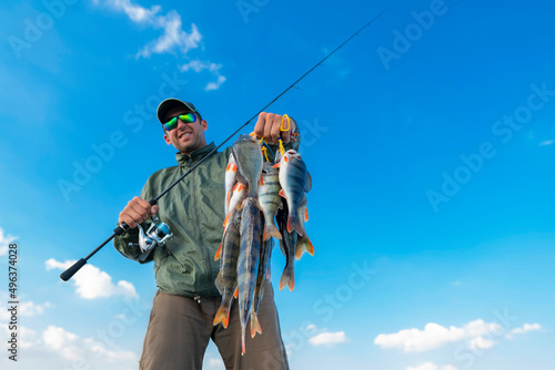 Success perch fishing. Fisherman with many perches and spinning tackle on blue sky background