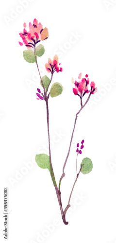 autumn pink flower handmade watercolour, floral watercolor design element. red and green botany.