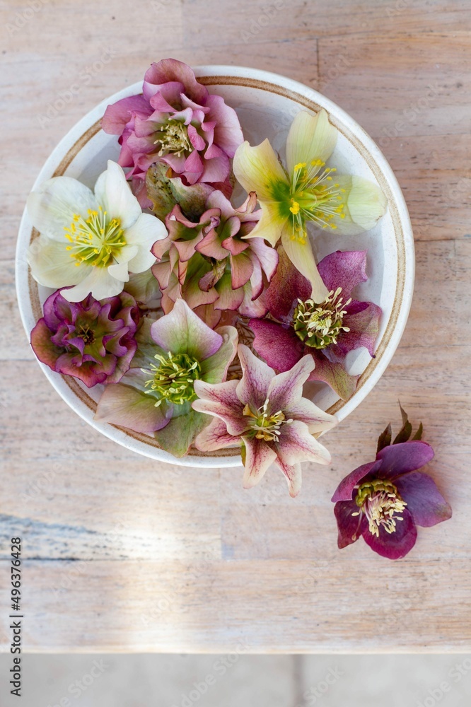 a ceramic bowl with beautiful variete of pink and white hellebore on wooden table