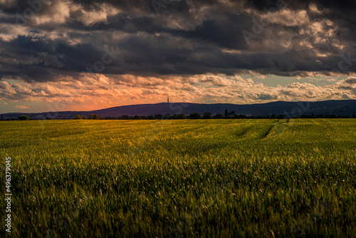 Photography view to the Television tower in Bratislava through a beautifully lit green field