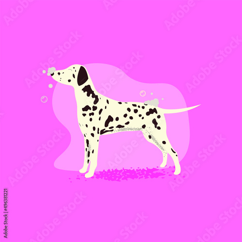 dalmatians on a pink background