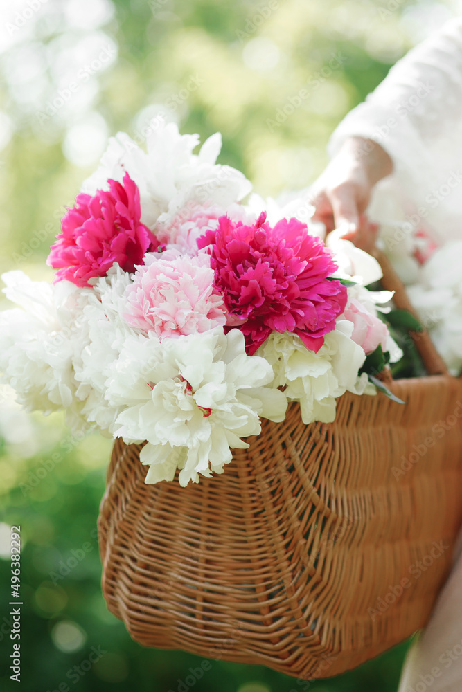 Woman holding a basket with beautiful fresh peonies. Bouquet of pink and white flowers. 