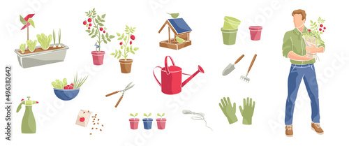 Man with tomato plant in pot and set elements about growing vegetables on balcony,gloves, garden tools, watering can, pots, plants in a container. Vector   illustration with abstract colour shapes.