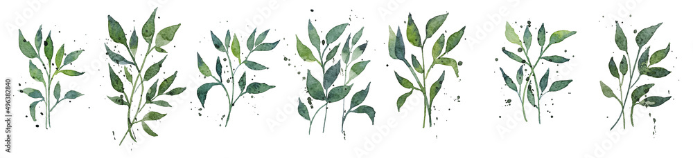 Set of watercolor design elements, branches, leaves, eucalyptus, painted in watercolor, botanical illustration isolated on transparent background.
 - obrazy, fototapety, plakaty 