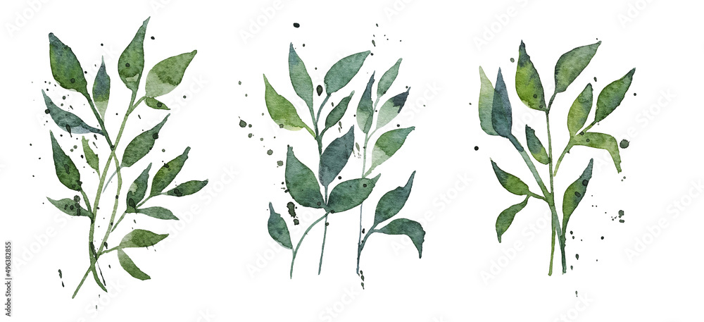 Set of watercolor design elements, branches, leaves, eucalyptus, painted in watercolor, botanical illustration isolated on transparent background.
Set of watercolor design elements, branches, leaves, eucalyptus, painted in watercolor, botanical illustration isolated on transparent background.