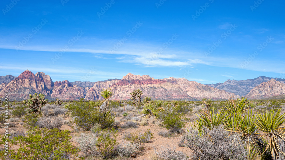 Red Rock Canyon National Conservation Area in Nevada