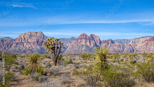 Photography Red Rock Canyon National Conservation Area in Nevada