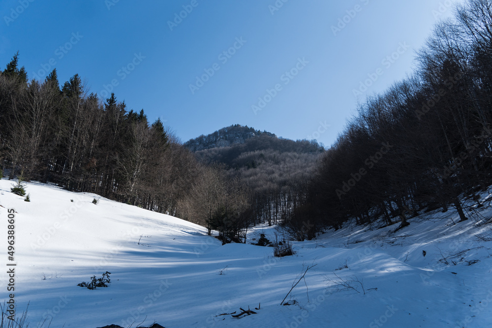 Obraz premium snow covered mountains, Padina Lupului Route, Magura Branului Mountains, Romania 