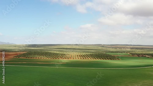 survol des champs d'oliviers (oliveraies), hacienda et village blanc en Andalousie dans le sud de l'Espagne	 photo