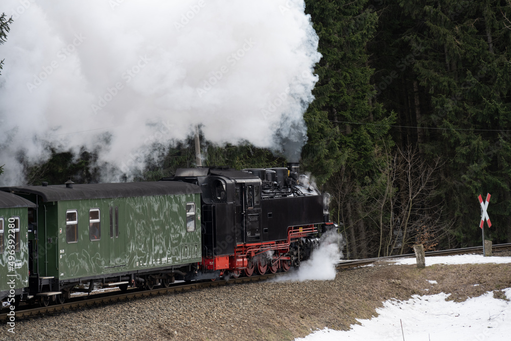 Obraz premium Schmalspurbahn - Dampflok mit Waggon