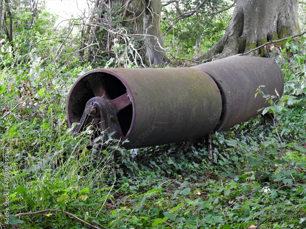 Metal old roller with undergrowth