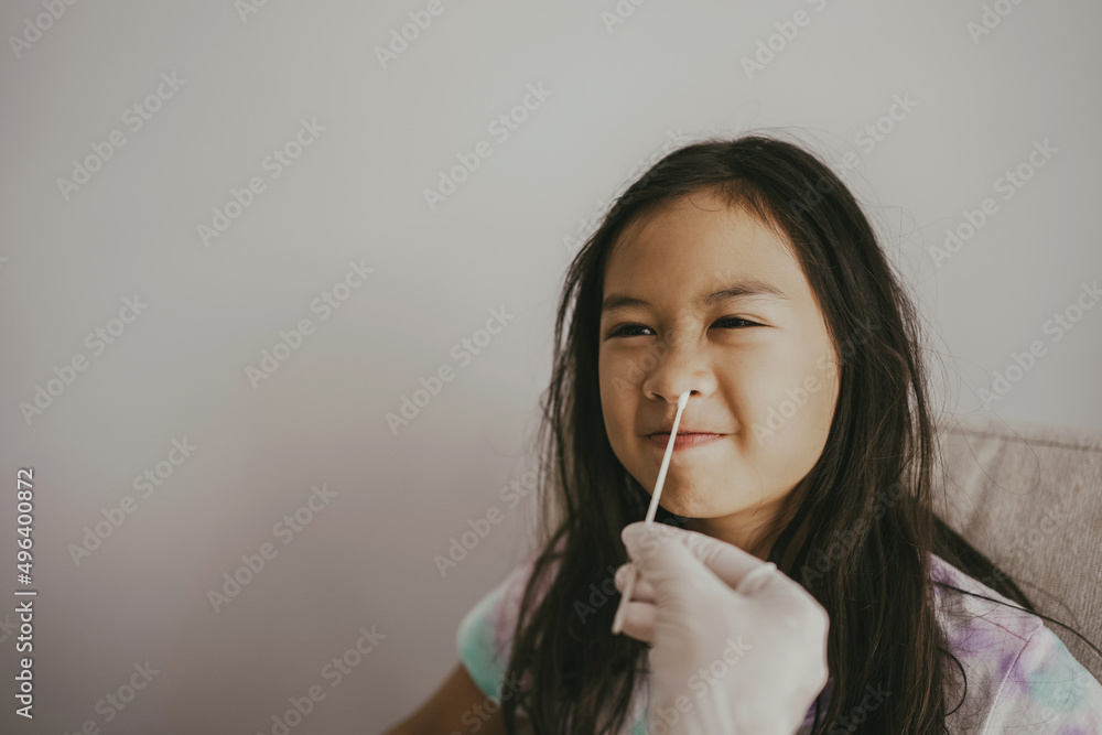 Mixed Asian preteen girl getting nasal swab test at home, Covid quick rapid self test, kid antigen test, new normal concept Mixed Asian preteen girl getting nasal swab test at home, Covid quick rapid self test, kid antigen test, new normal concept