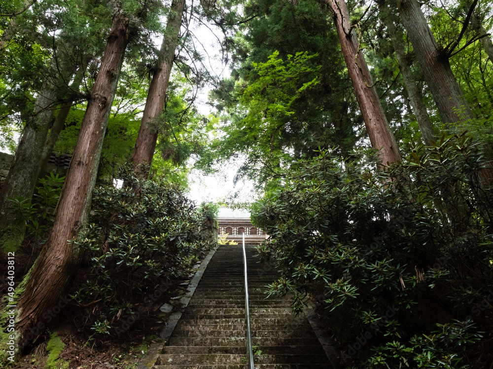 Steep stone steps leading to the entrance of Fukuoji temple - Hiroshima, Japan Steep stone steps leading to the entrance of Fukuoji temple - Hiroshima, Japan