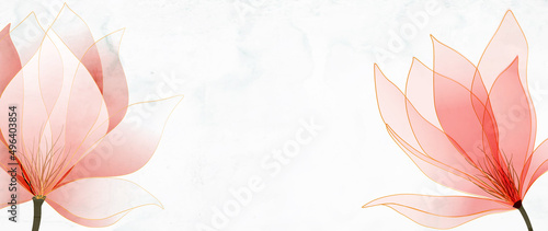 Abstract art background with pink magnolia flowers with golden lines. Botanical banner with watercolor paints with transparency effect for design, decoration, poster, invitations