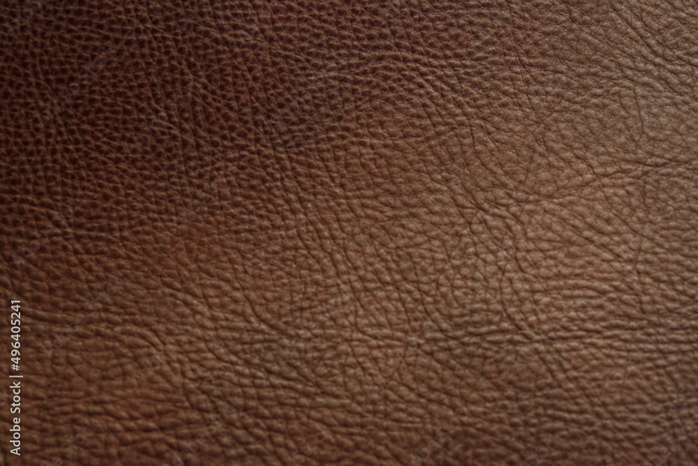 A close-up texture of real cowhide. A close-up texture of real cowhide.