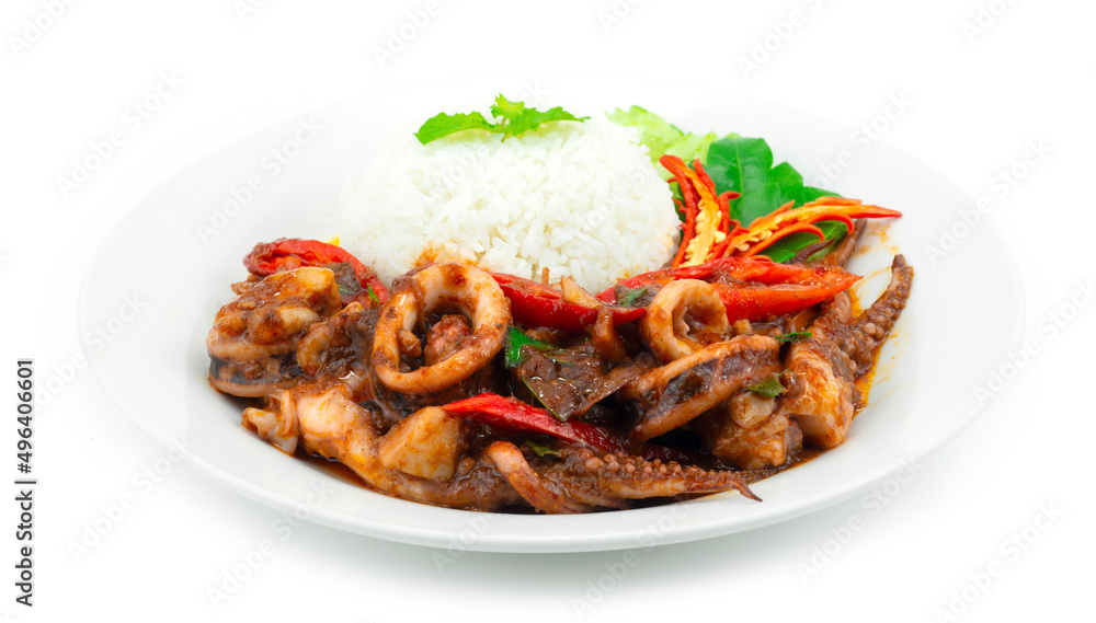Stir Fried Squids with Chili Paste Served Rice Stir Fried Squids with Chili Paste Served Rice