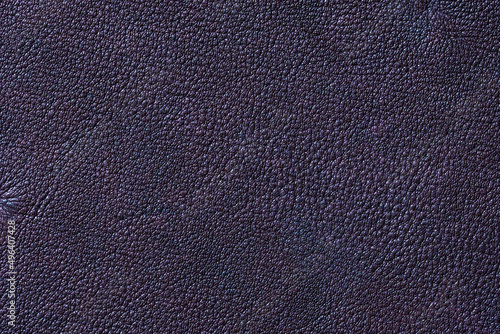 A close-up texture of real deer leather.