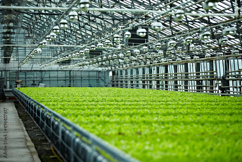 greenhouses