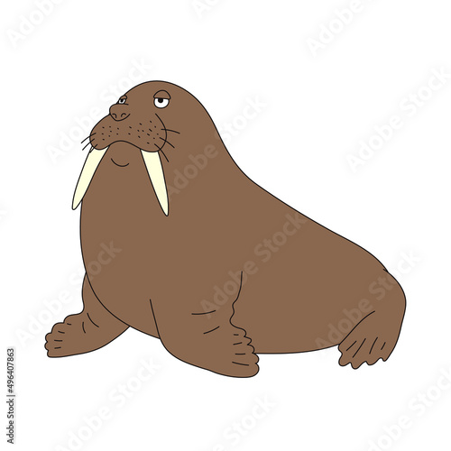 セイウチ