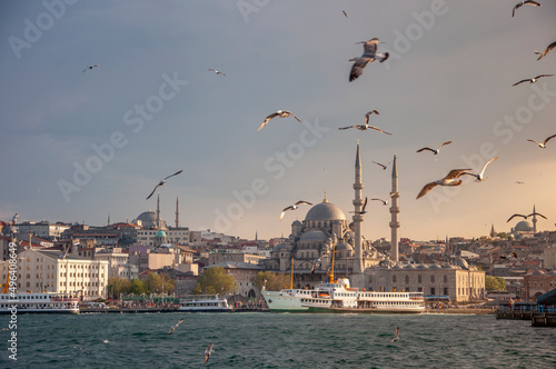 Istanbul Golden Horn view. Flock of seagulls. passenger ferries. Mosques. 