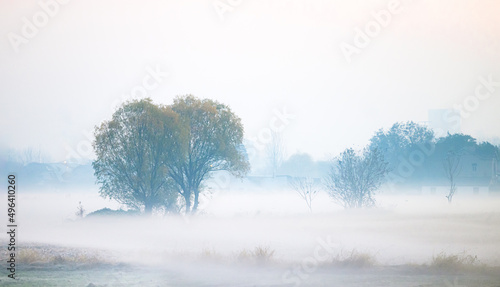 The countryside was shrouded in morning fog