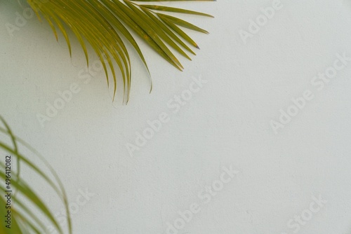 Stone wall background with leaf