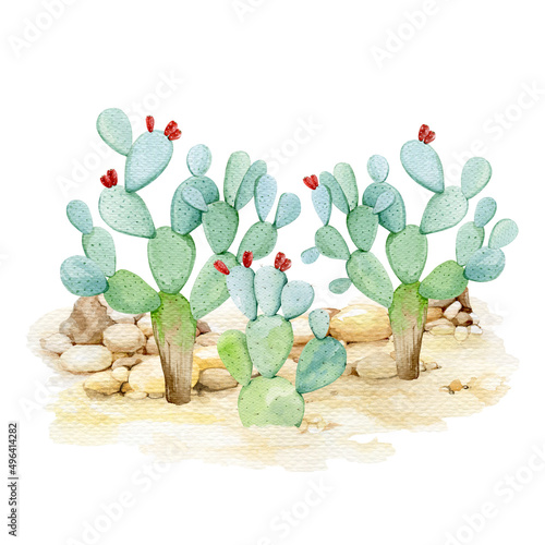 Prickly pear cactus in the desert. Watercolor illustration. Organic opuntia plant in the sandy landscape. Green cactus desert plant watercolor element photo