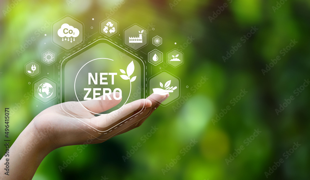 The concept of carbon neutral and net zero. natural environment A ...