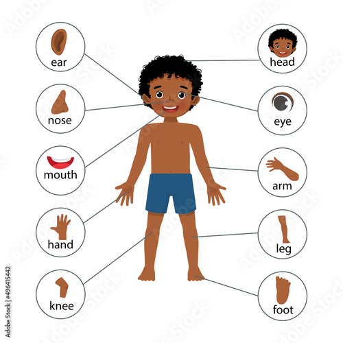 little African boy illustration poster of human body parts with diagram text label chart for educational purpose
