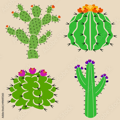 Set de cactus con flores - vectores photo