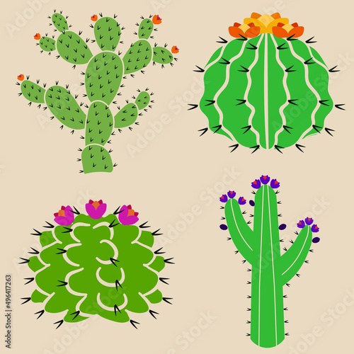 Set de cactus con flores - vectores