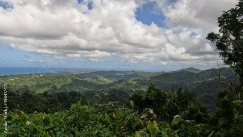 El Yunque National Forest, Puerto Rico photo