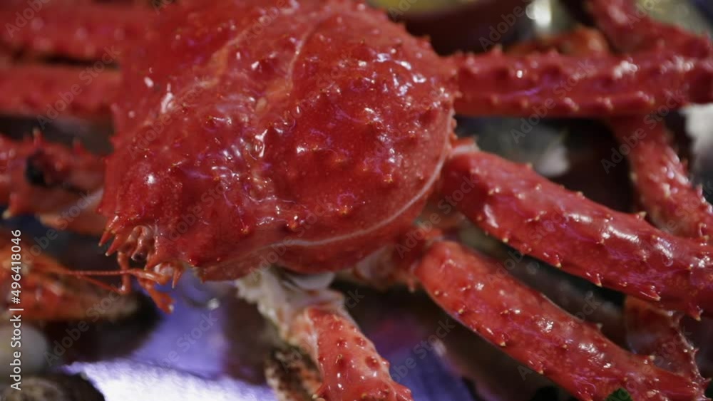Gourmet gastronomy. Closeup view of a Giant Spider Crab, Lithodes santolla plate presentation. Gourmet gastronomy. Closeup view of a Giant Spider Crab, Lithodes santolla plate presentation.