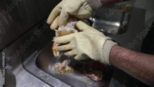 Gastronomy. Cooking in the kitchen. Restaurant chef putting Spider Crab, Lithodes santolla, meat and shell into boiling sea water and covering the pan. photo