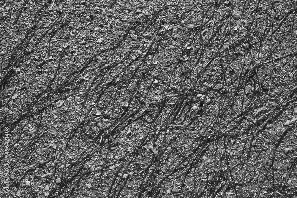 Image of sandy surface covered with sea grass. Image of sandy surface covered with sea grass.