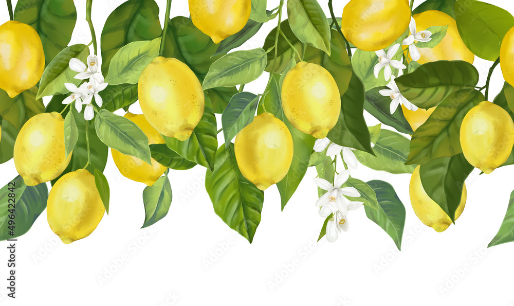 Seamless border with lemon fruits, citrus flowers, and branches. Hand drawn watercolor images Seamless border with lemon fruits, citrus flowers, and branches. Hand drawn watercolor images