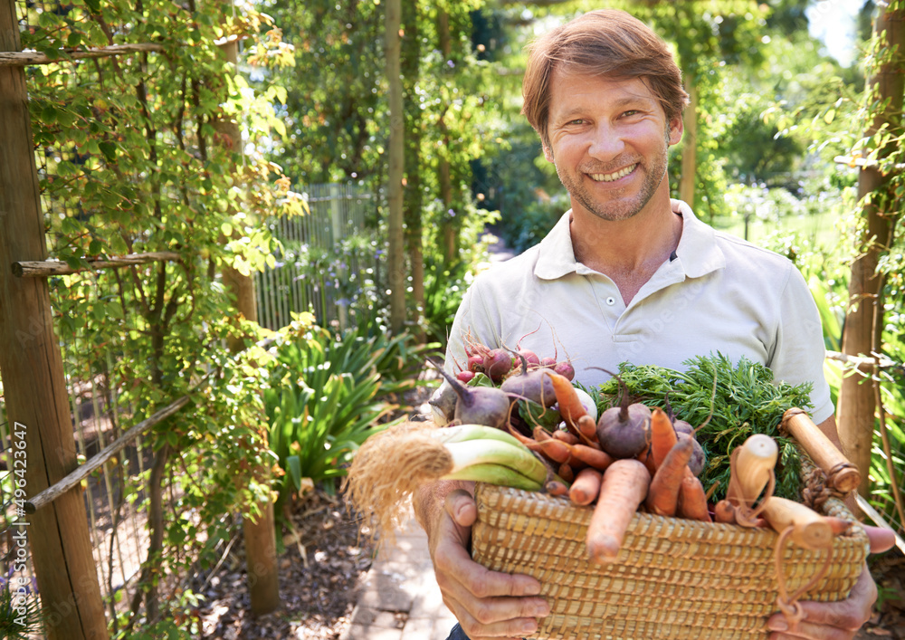 Fototapeta premium Holding an armful of organic goodness. A mature man holding a basket of organic vegetables.