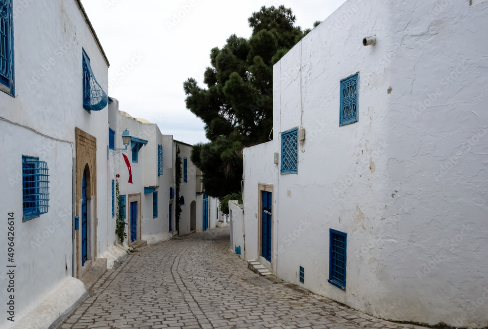 View of the typical houses and streets of the Mediterranean city of Sidi Bou Said, a town in northern Tunisia located about 20 km from the capital, Tunis