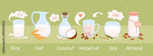 Set of different vegetarian milk in glass containers. Plant based beverage, free lactose drink, organic and biological milk, diverse dairy vegan milk cartoon vector illustration
